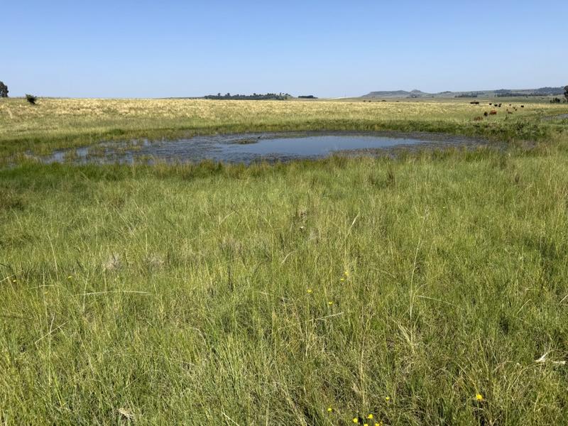 0 Bedroom Property for Sale in Bethlehem Rural Free State